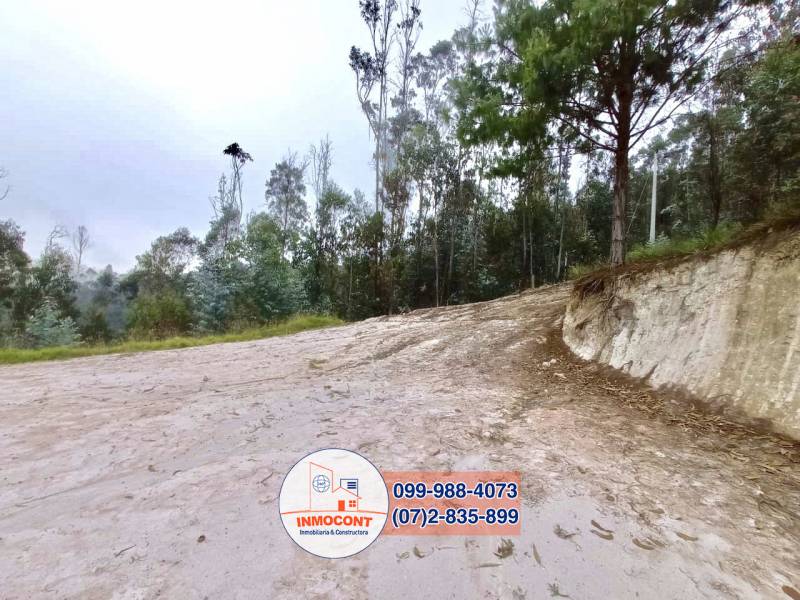 T157 Últimos lotes disponibles